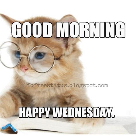 Happy wednesday memes - ♥ “Keep calm. It’s only Wednesday. We still have two more days to go.” ~ Anonymous. Happy Wednesday Memes. ♥ “When people refer to ‘Back in the Day,’ it was a …